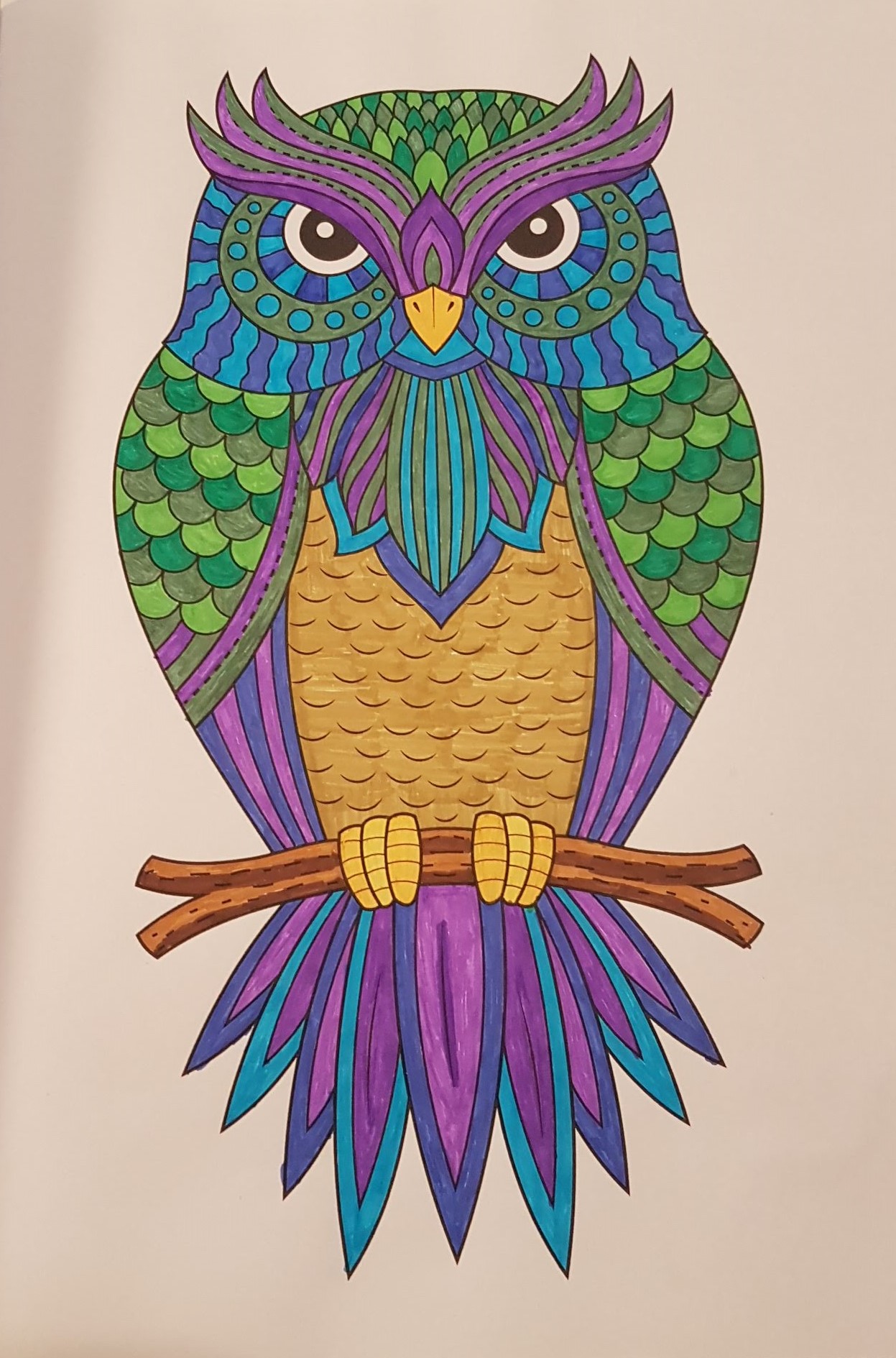 Owl with green head and wing feathers, purple eyebrows, blue markings around its eyes and purple tail feathers with some blue streaks, sitting on a branch and looking at you.
